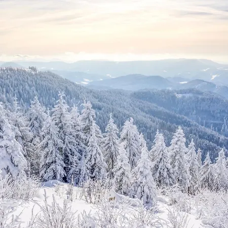 Appart hôtel Hapimag Unterkirnach