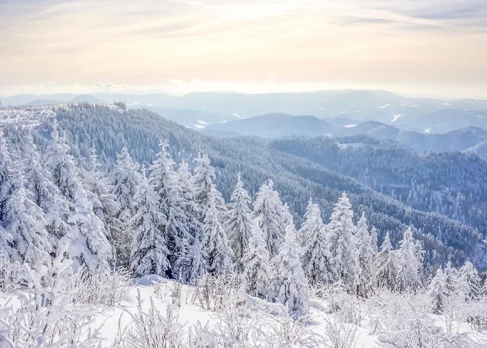 Aparthotel Hapimag Unterkirnach